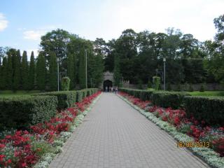 IMG_4528.JPG