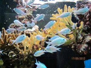IMG_0986.JPG