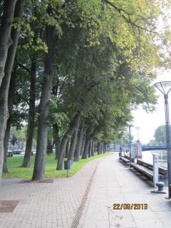 IMG_5461.JPG