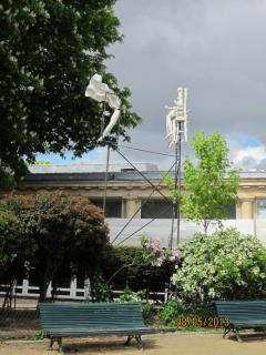 IMG_3176.JPG