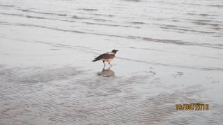 IMG_4902.JPG