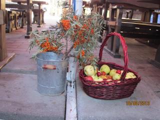 IMG_4432.JPG