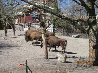 IMG_2461.JPG