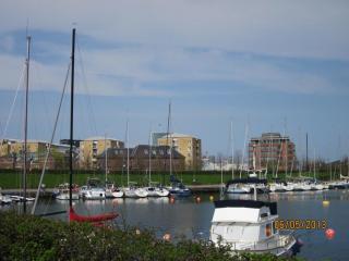 IMG_2815.JPG