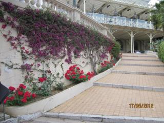 IMG_1052.JPG