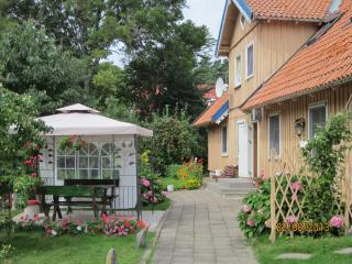 IMG_5672.JPG