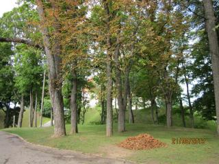 IMG_5232.JPG
