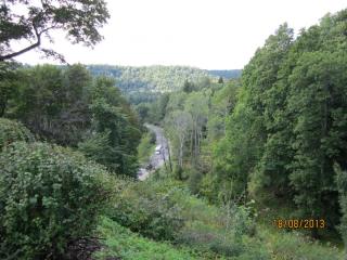 IMG_4546.JPG