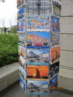 IMG_2781.JPG