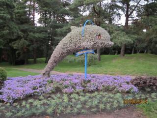 IMG_5779.JPG