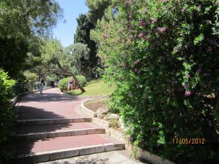 IMG_0947.JPG
