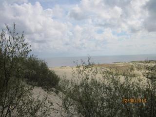 IMG_5571.JPG
