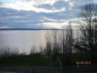 IMG_2583.JPG