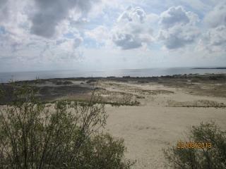 IMG_5563.JPG