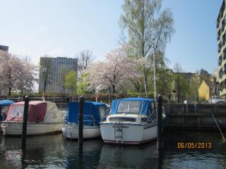 IMG_2691.JPG