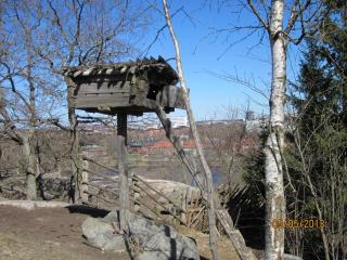 IMG_2445.JPG