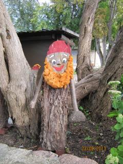 IMG_5921.JPG
