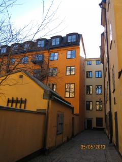 IMG_2311.JPG