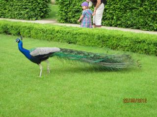 IMG_1427.JPG