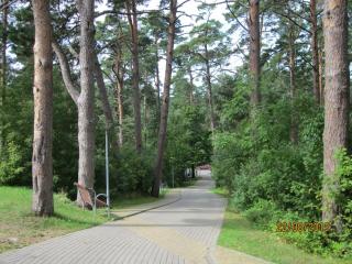 IMG_5600.JPG