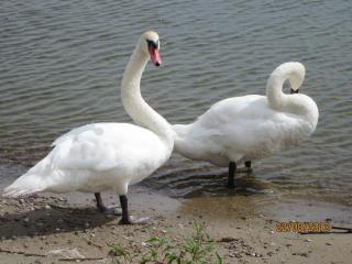 IMG_5639.JPG