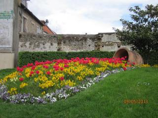 IMG_3391.JPG