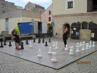 IMG_5493.JPG