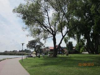 IMG_5636.JPG