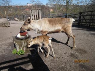 IMG_2447.JPG