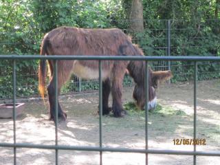 IMG_0449.JPG