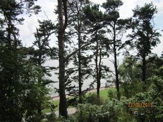 IMG_5606.JPG