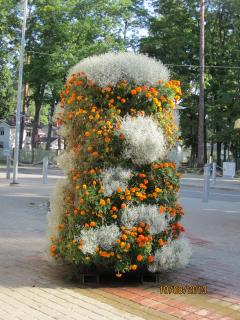 IMG_4674.JPG