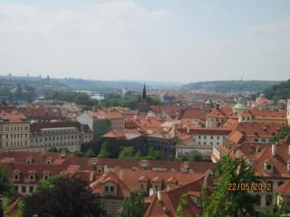 IMG_1401.JPG