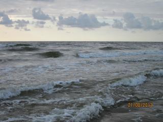IMG_5378.JPG