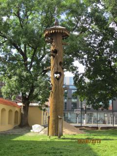 IMG_5867.JPG