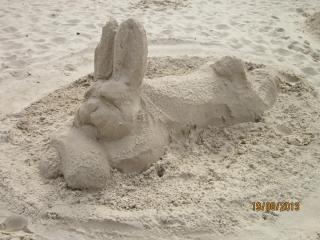 IMG_4721.JPG