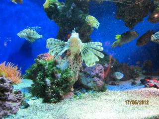 IMG_0995.JPG