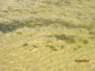 IMG_4703.JPG