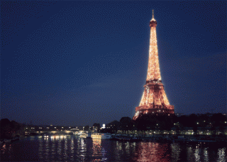 645446.gif