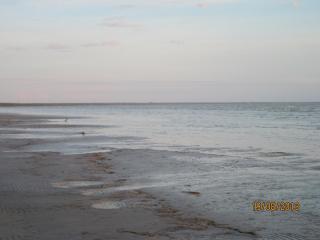 IMG_4896.JPG