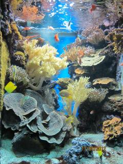 IMG_0985.JPG