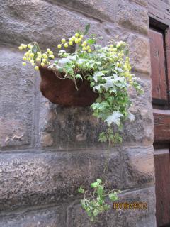 IMG_1084.JPG