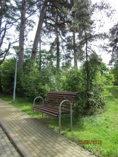 IMG_5598.JPG