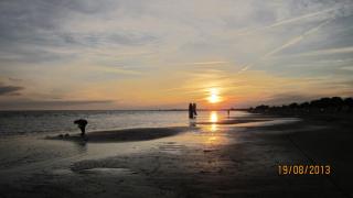 IMG_4898.JPG