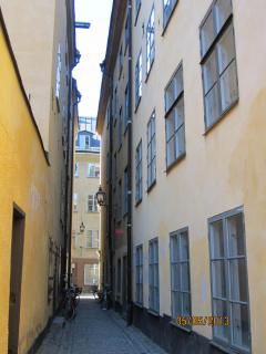 IMG_2310.JPG