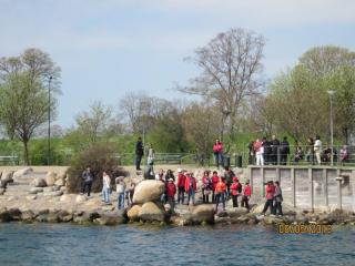 IMG_2666.JPG