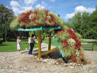 IMG_4504.JPG