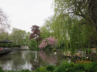 IMG_3037.JPG
