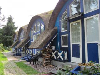 IMG_5593.JPG