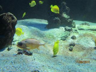 IMG_0979.JPG
